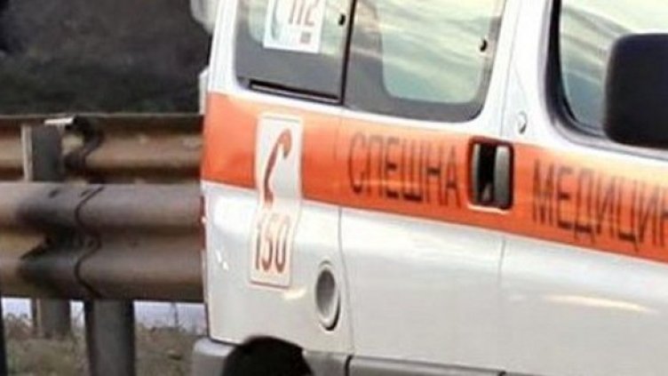 Снимка: Архив Булфото