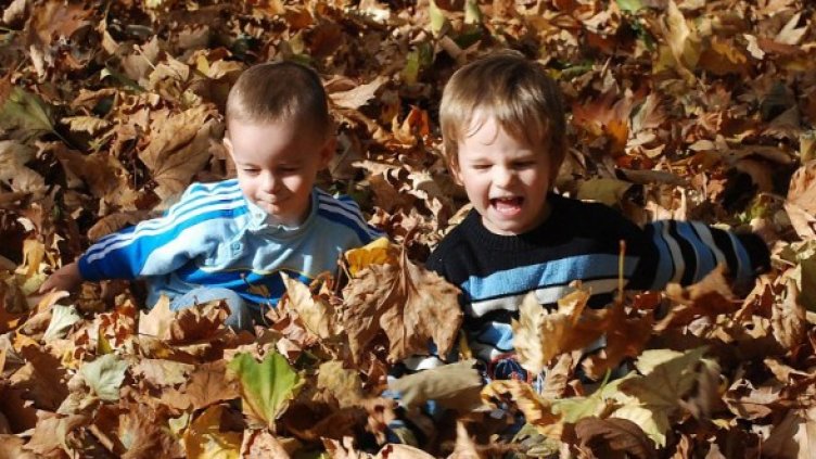 Снимка: Булфото