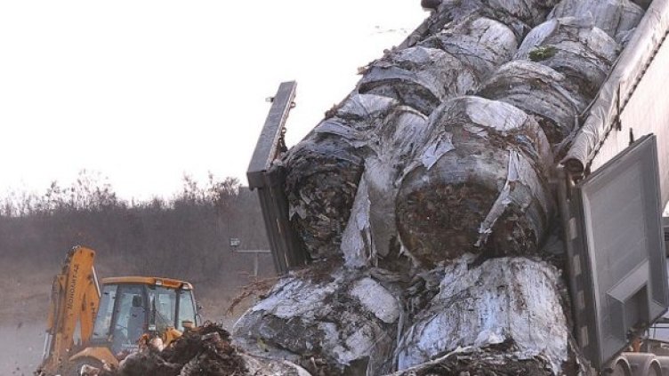 Снимка: Булфото