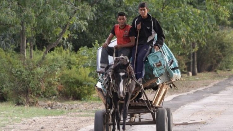 Снимка: Булфото