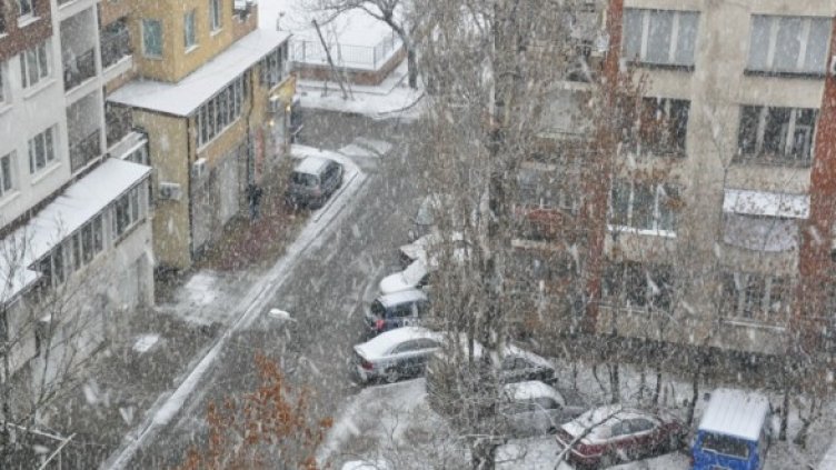 Снимка: Dnes.bg