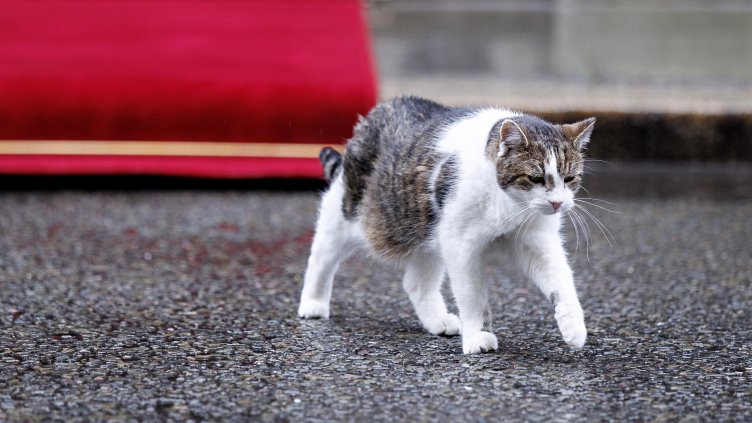 Снимка:БГНЕС/EPA