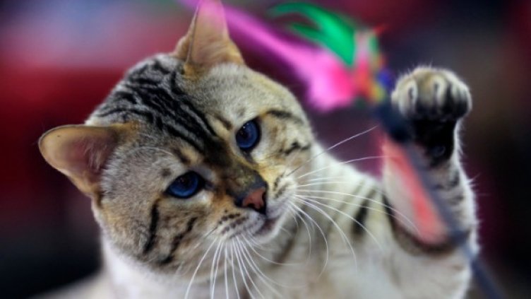 Снимка: Reuters