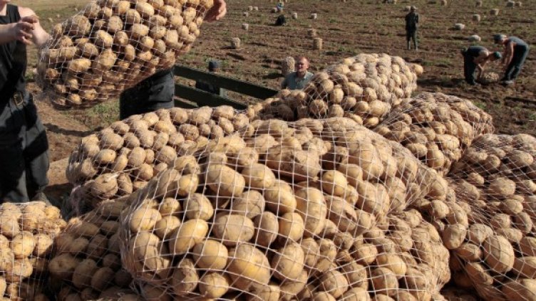 Снимка: архив, Reuters