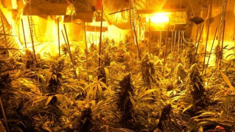 Снимка: МВР