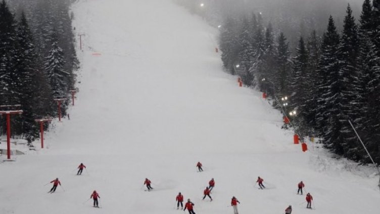 Снимка: архив Булфото