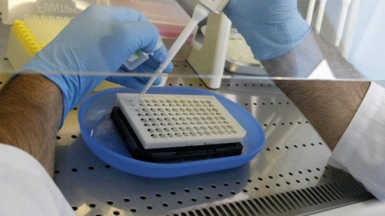 Снимка: Булфото