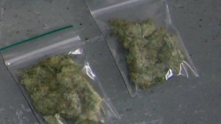 Заловените две пликчета с марихуана. Снимка: Агенция "Митници"