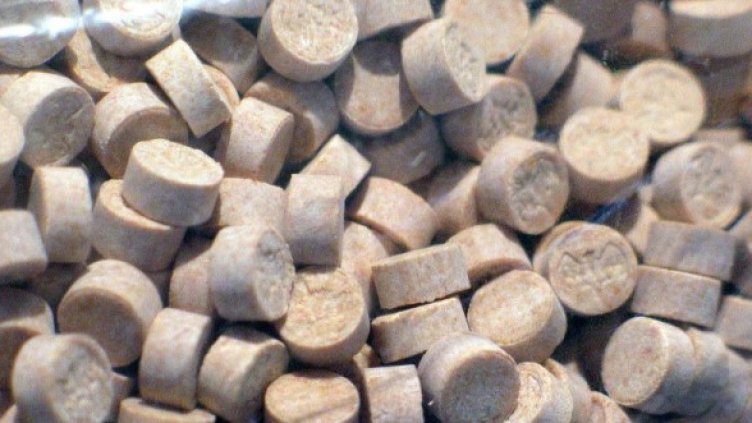 Снимка: архив Булфото