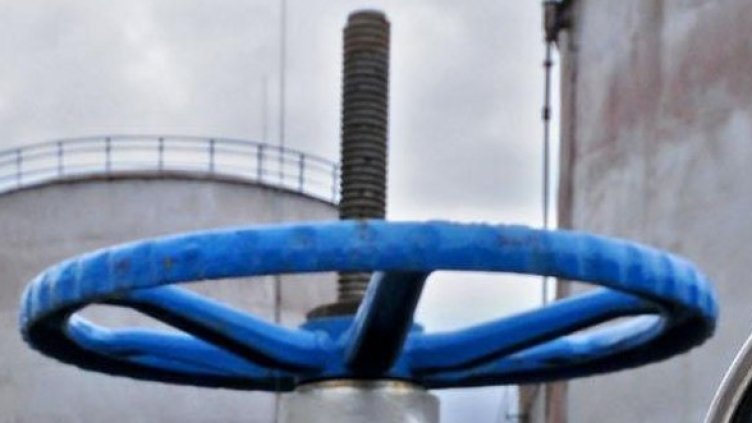 Снимка: архив Булфото