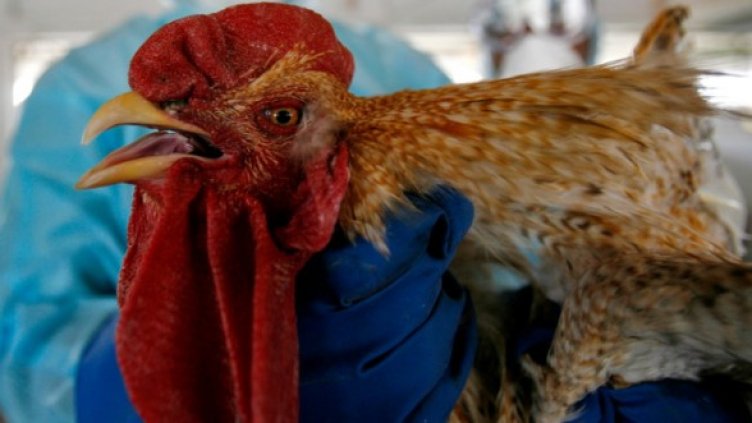 Снимка: Reuters