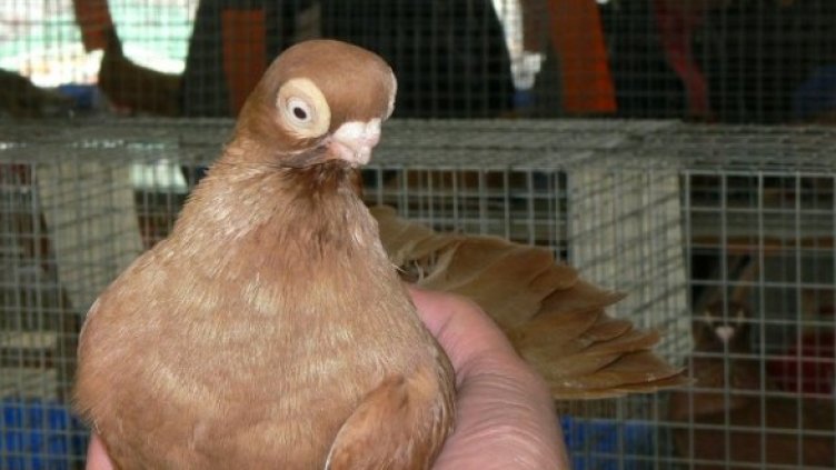 Снимка: Булфото