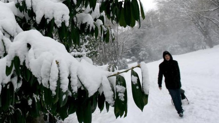 Снимка: Impact Press Grouр