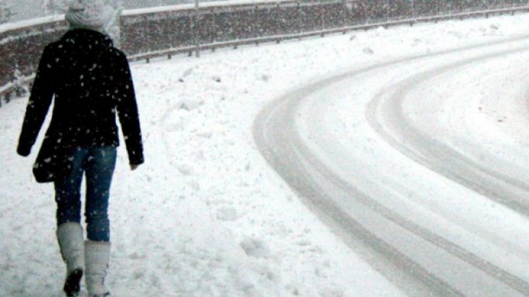 Снимка: архив, БТА