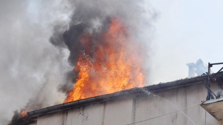 Снимка: Архив Булфото