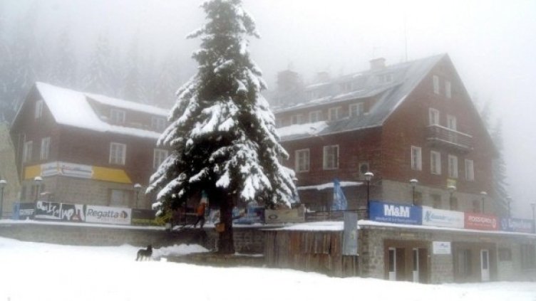 Снимка: Архив Булфото