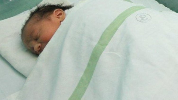 Снимка: Архив Булфото