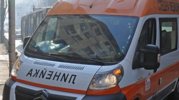 Снимка: Булфото