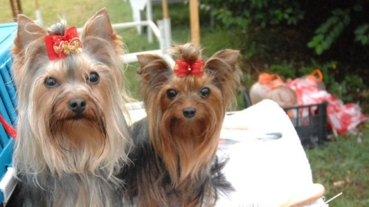 Снимка: Булфото