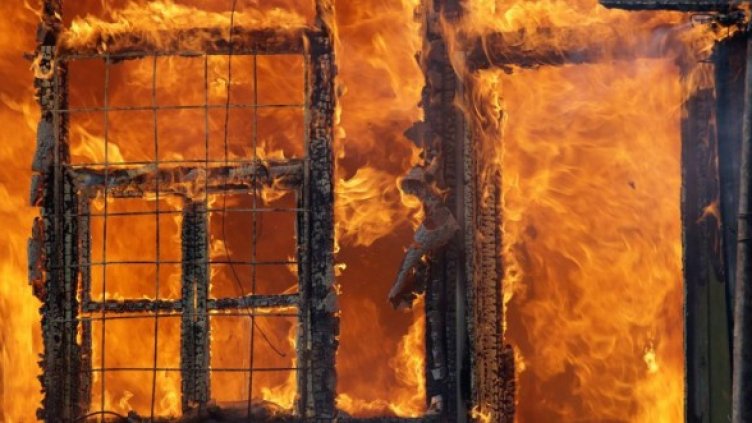 Снимка: архив Булфото