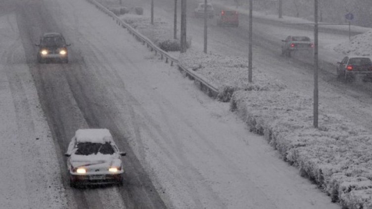 Снимка: Булфото