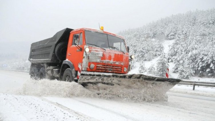 Снимка: архив, Булфото