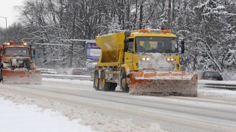 Снимка: Булфото