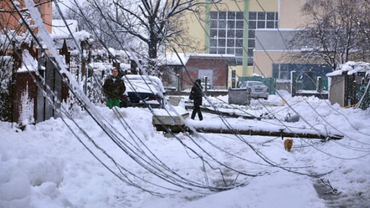 Снимка: Булфото