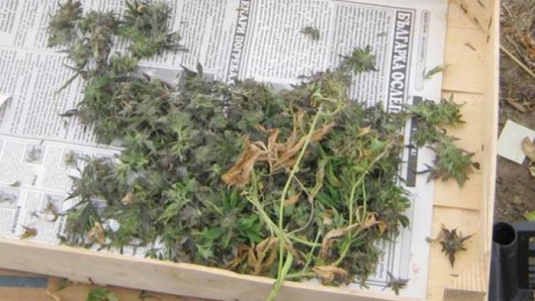 Снимка: Архив МВР