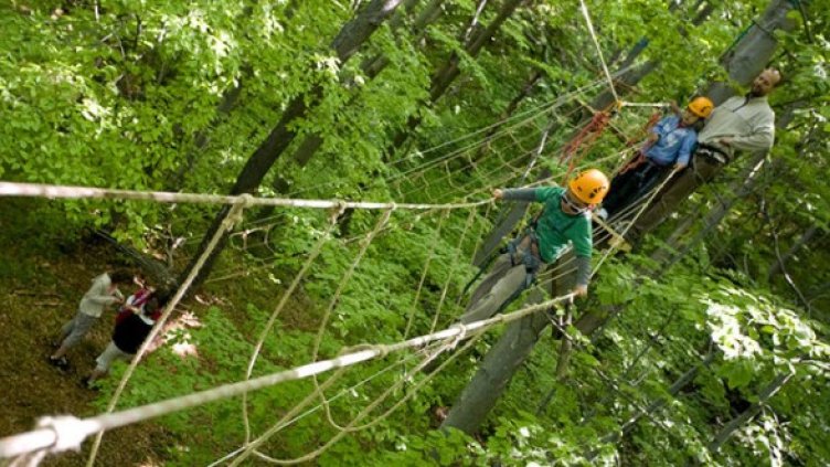 Снимка: Приключенски парк "Дендрариум"