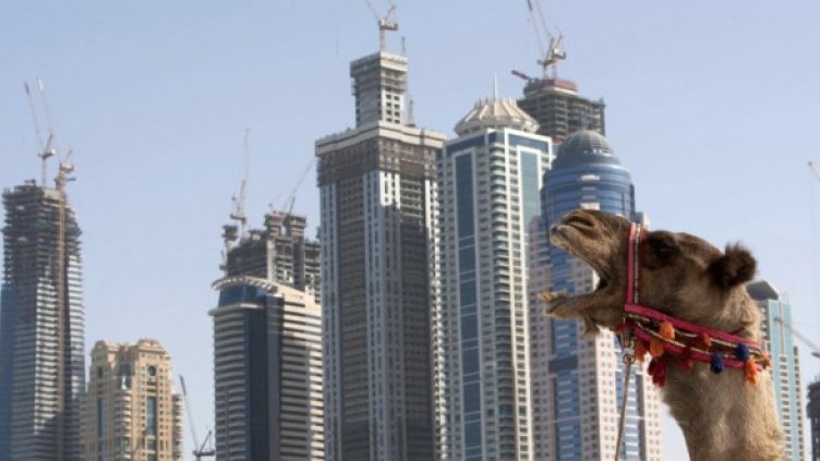 Снимка: Reuters