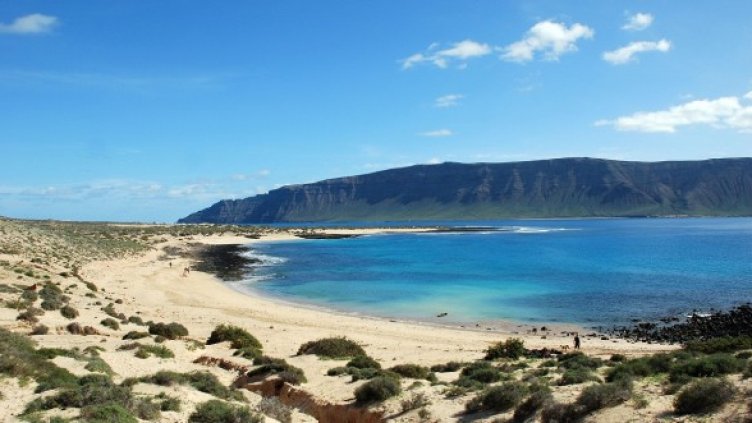 Снимка: sxc.hu