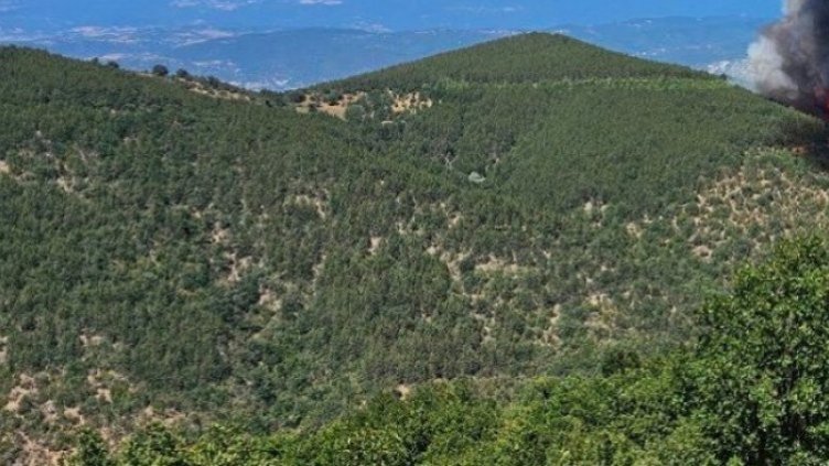 БГНЕС, архив