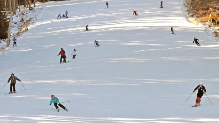 Снимка: Булфото