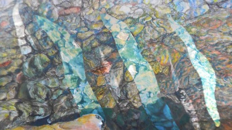 Снимка: Галерия Ракурси