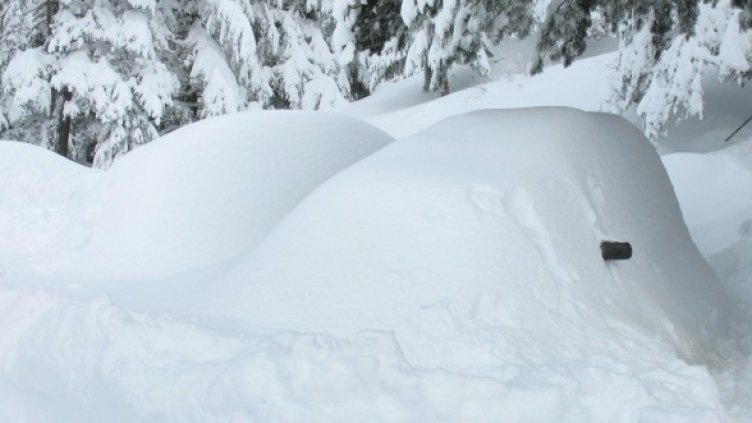 Снимка: Булфото