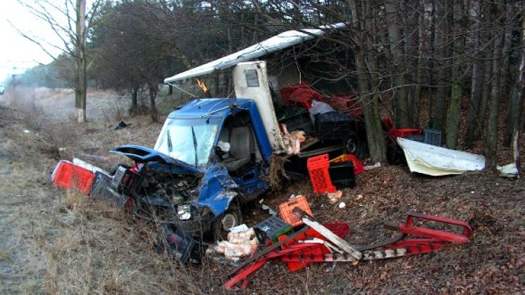 Снимка: архив Булфото