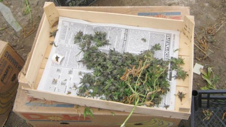 Снимка: Булфото