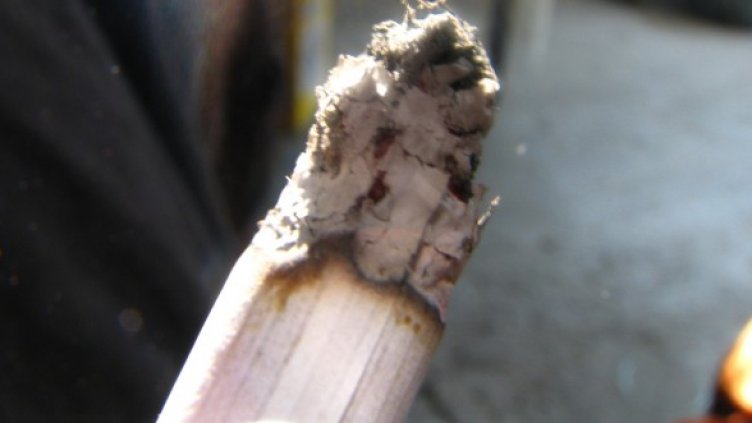 Снимка: sxc.hu