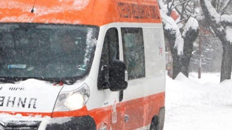 Снимка: Булфото