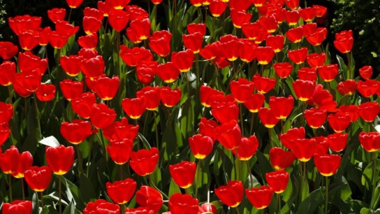 Снимка: Reuters