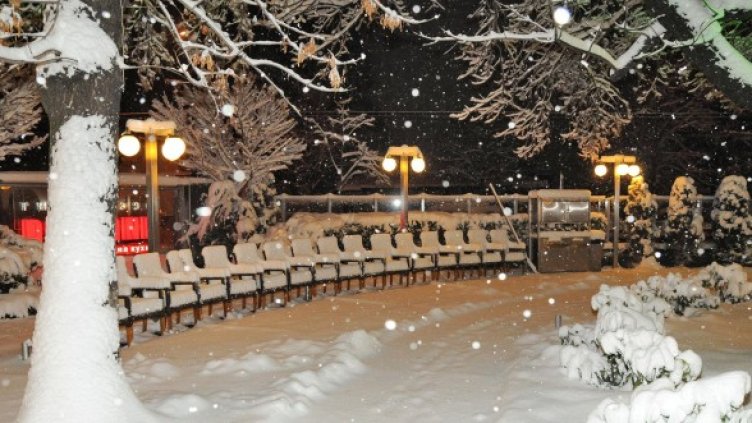 Снимка: Булфото