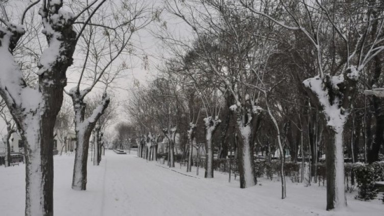 Снимка: Архив Булфото