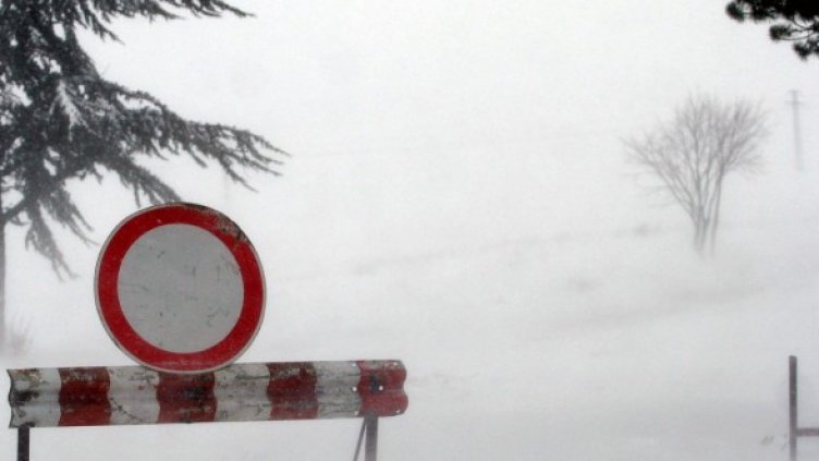 Снимка: Impact Press Group