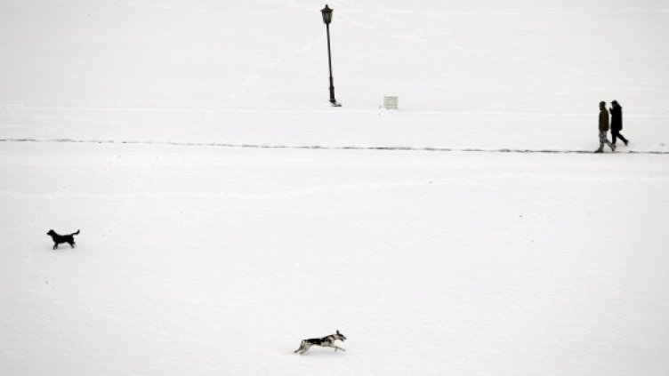 Снимка: Reuters