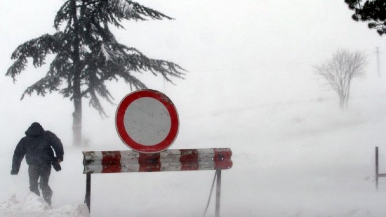 Снимка: Impact Press Group