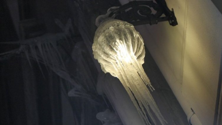 Снимка: Булфото