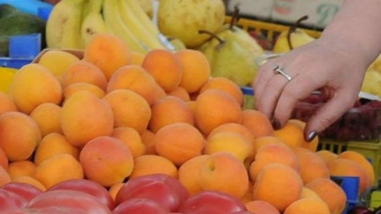 Снимка: Булфото