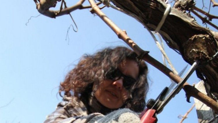 Снимка: архив, Булфото