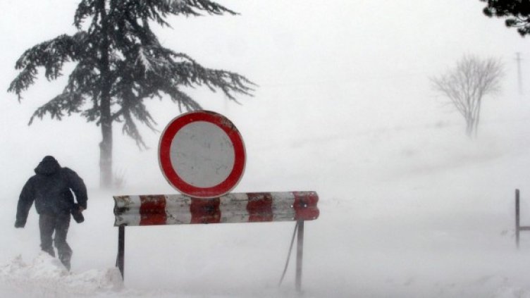 Снимка: Impact Press Group